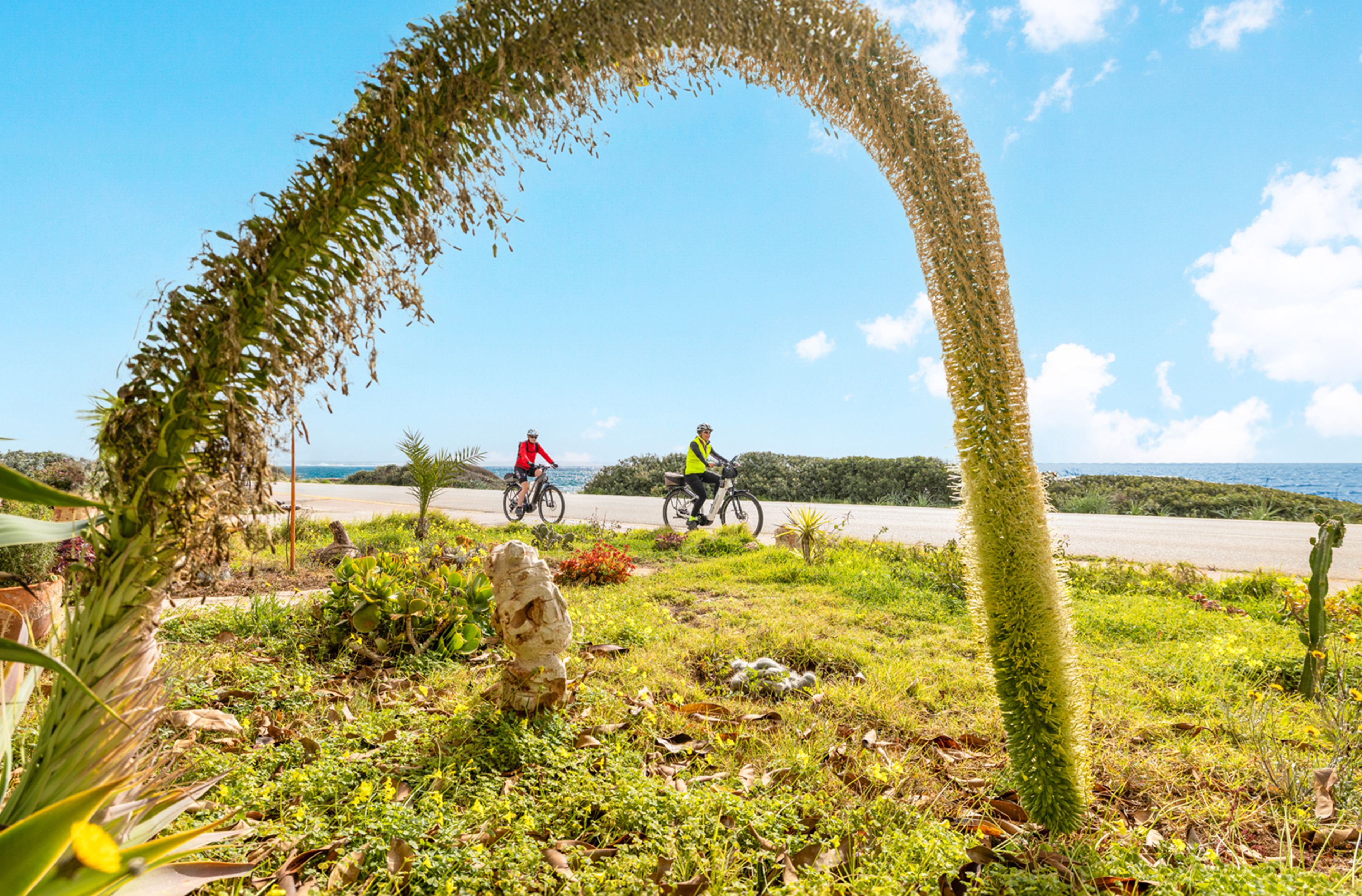 Bild: Reif für die Insel