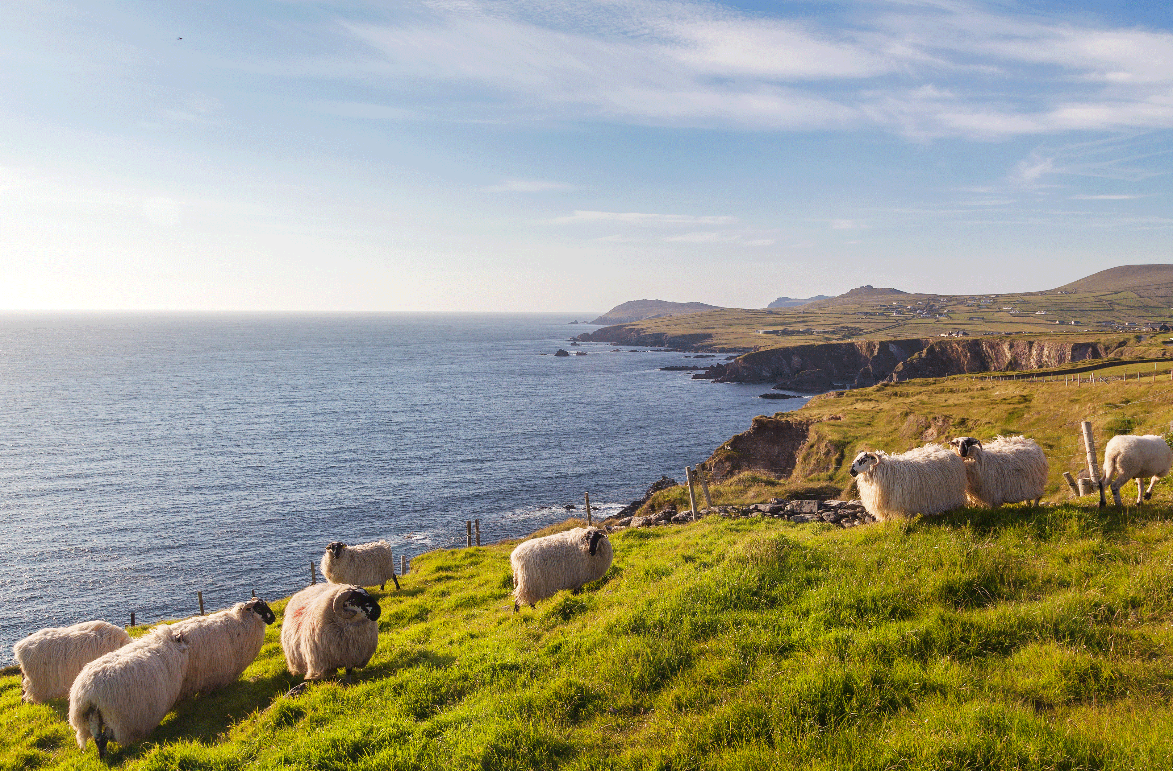 Bild: Reisebericht Irland - die grüne Insel